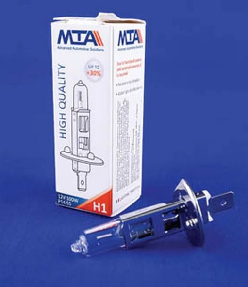 H1 24V 100W P14.5S (картон) K
