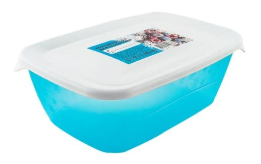 Контейнер д/замор "Морозко"1,0 л(прямокут) T